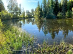 Stokkedammen, Trondheim – pobór prób wody