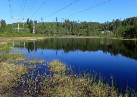 Pobieranie prób wody – Rundhaugtjønna, Trøndelag