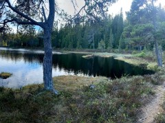 Sølvskakkeltjønna, Trondheim  – pobór prób wody