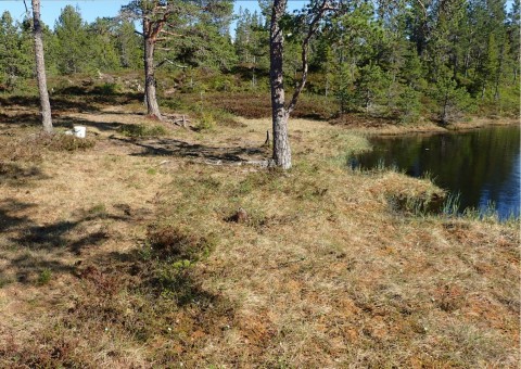 Pobieranie prób wody – Sølvskakkeltjønna, Trondheim