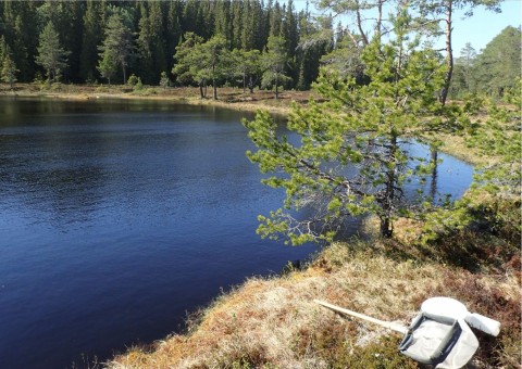 Pobieranie prób wody – Sølvskakkeltjønna, Trondheim