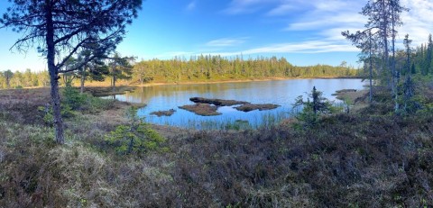 Pobieranie prób wody – Sølvskakkeltjønna, Trondheim