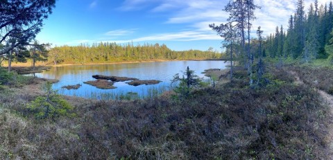 Pobieranie prób wody – Sølvskakkeltjønna, Trondheim