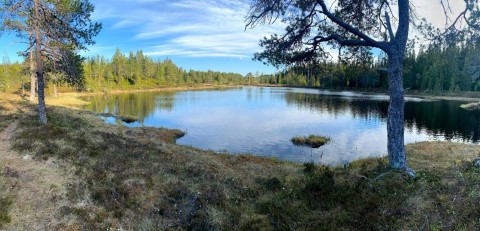 Pobieranie prób wody – Sølvskakkeltjønna, Trondheim