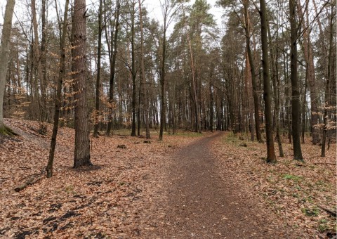 Pobieranie prób wody – okolice Tenczynka (gm. Krzeszowice)