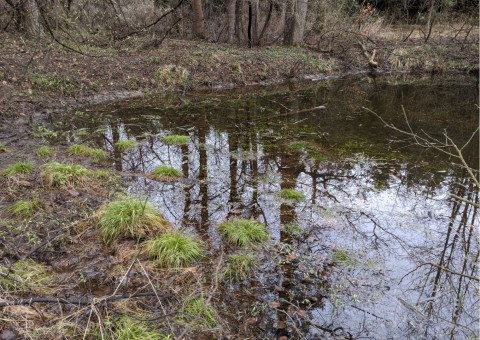 Pobieranie prób wody – okolice Tenczynka (gm. Krzeszowice)