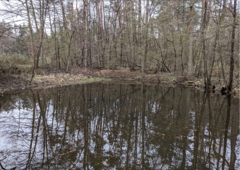 Pobieranie prób wody – okolice Tenczynka (gm. Krzeszowice)