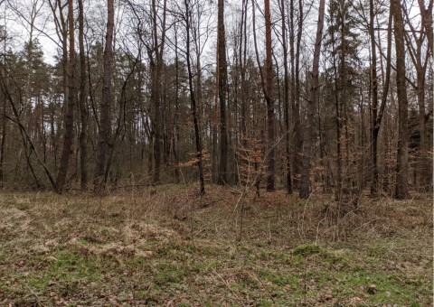 Pobieranie prób wody – okolice Tenczynka (gm. Krzeszowice)