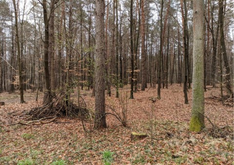 Pobieranie prób wody – okolice Tenczynka (gm. Krzeszowice)